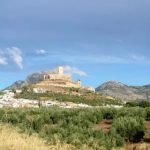 INAUGURADO EL CONCURSO HORTOFRUTÍCULA DE ALCAUDETE