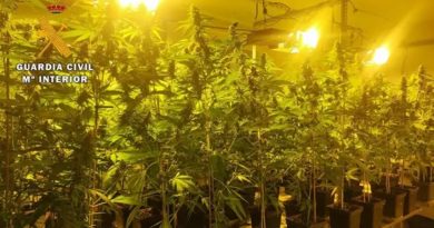 Cuatro detenidos con más de 400 plantas de marihuana en dos viviendas de Mancha Real