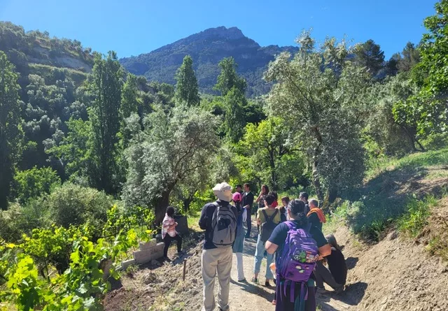 Participación activa y sostenibilidad: 10 experiencias para vivir el Parque Natural de Cazorla, Segura y Las Villas ‘desde dentro’