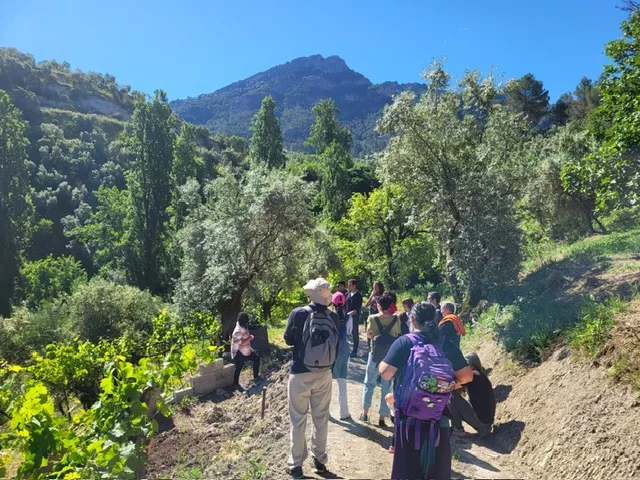 Participación activa y sostenibilidad: 10 experiencias para vivir el Parque Natural de Cazorla, Segura y Las Villas ‘desde dentro’